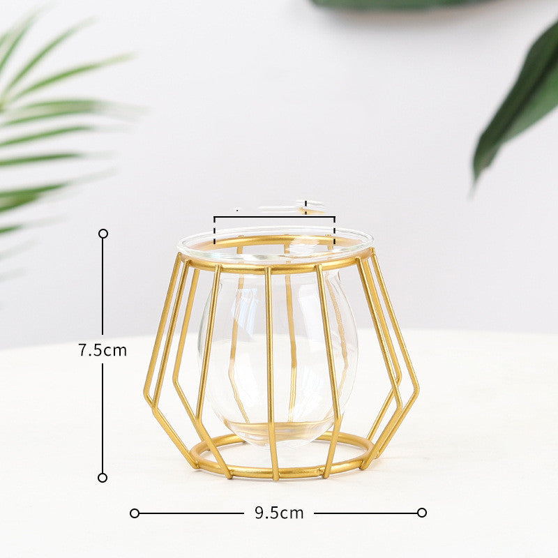 Nordic Minimalist Wrought Iron Geometric Glass Test Tube Hydroponic Vase Home Desktop Decoration