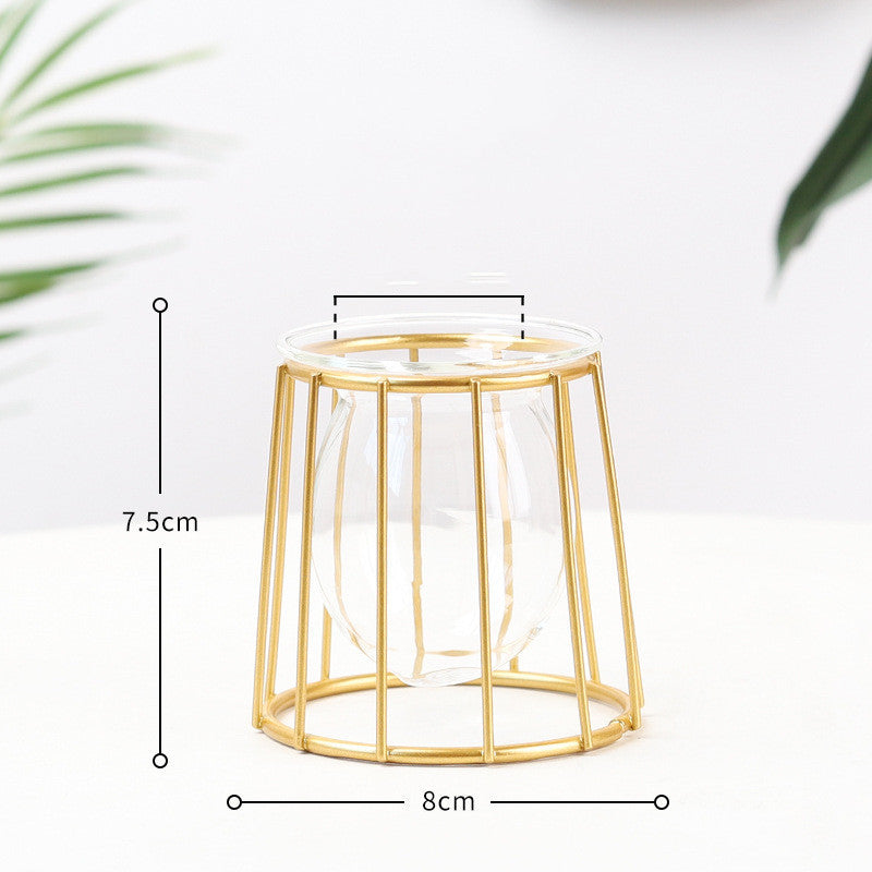 Nordic Minimalist Wrought Iron Geometric Glass Test Tube Hydroponic Vase Home Desktop Decoration