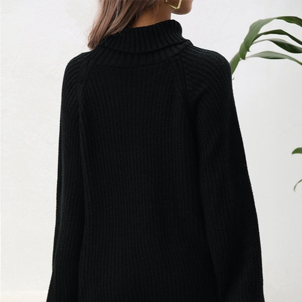 Women's Turtleneck Sweater Loose Pullover Raglan Sleeve Long Sleeve Solid Color