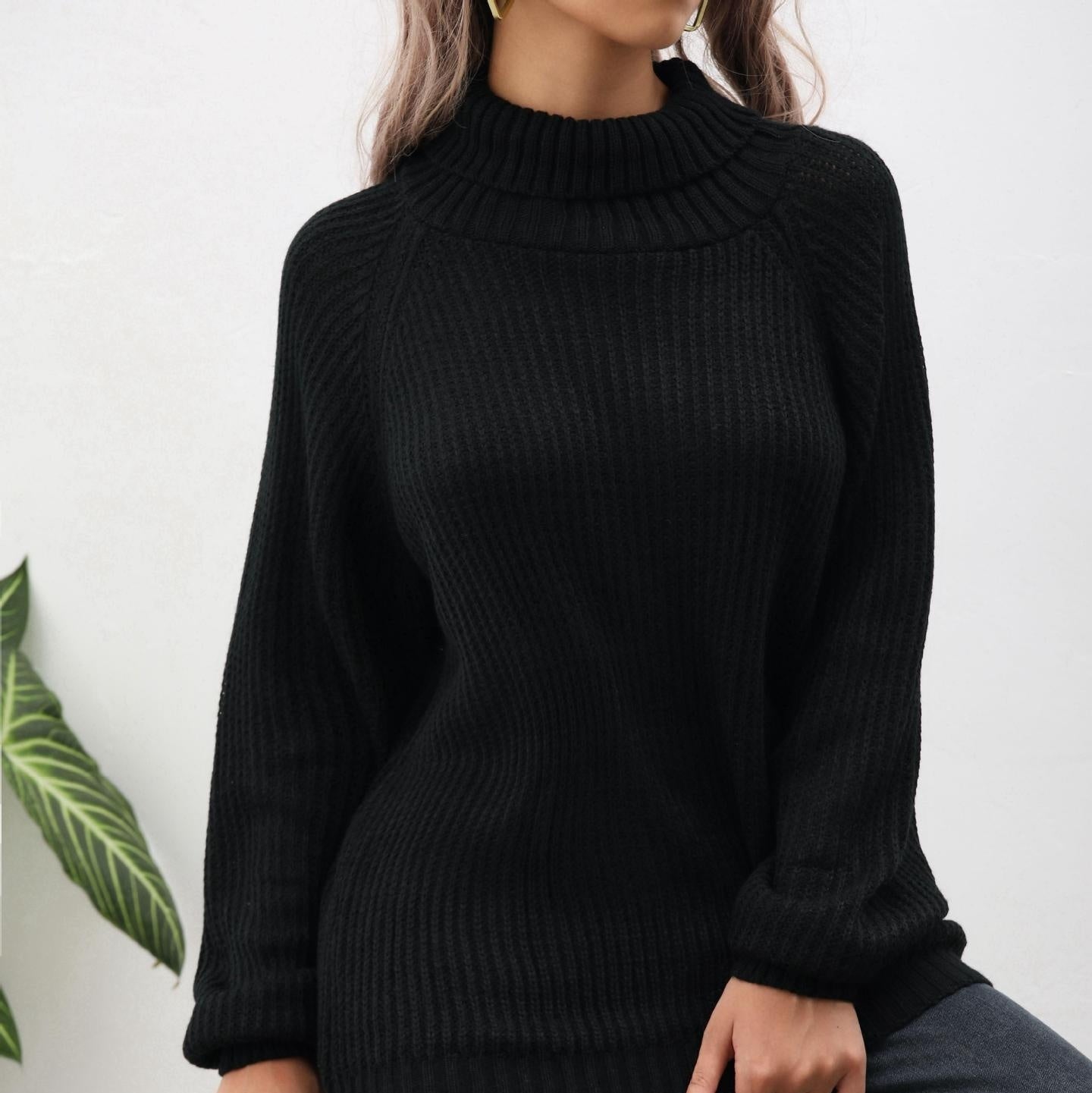 Women's Turtleneck Sweater Loose Pullover Raglan Sleeve Long Sleeve Solid Color